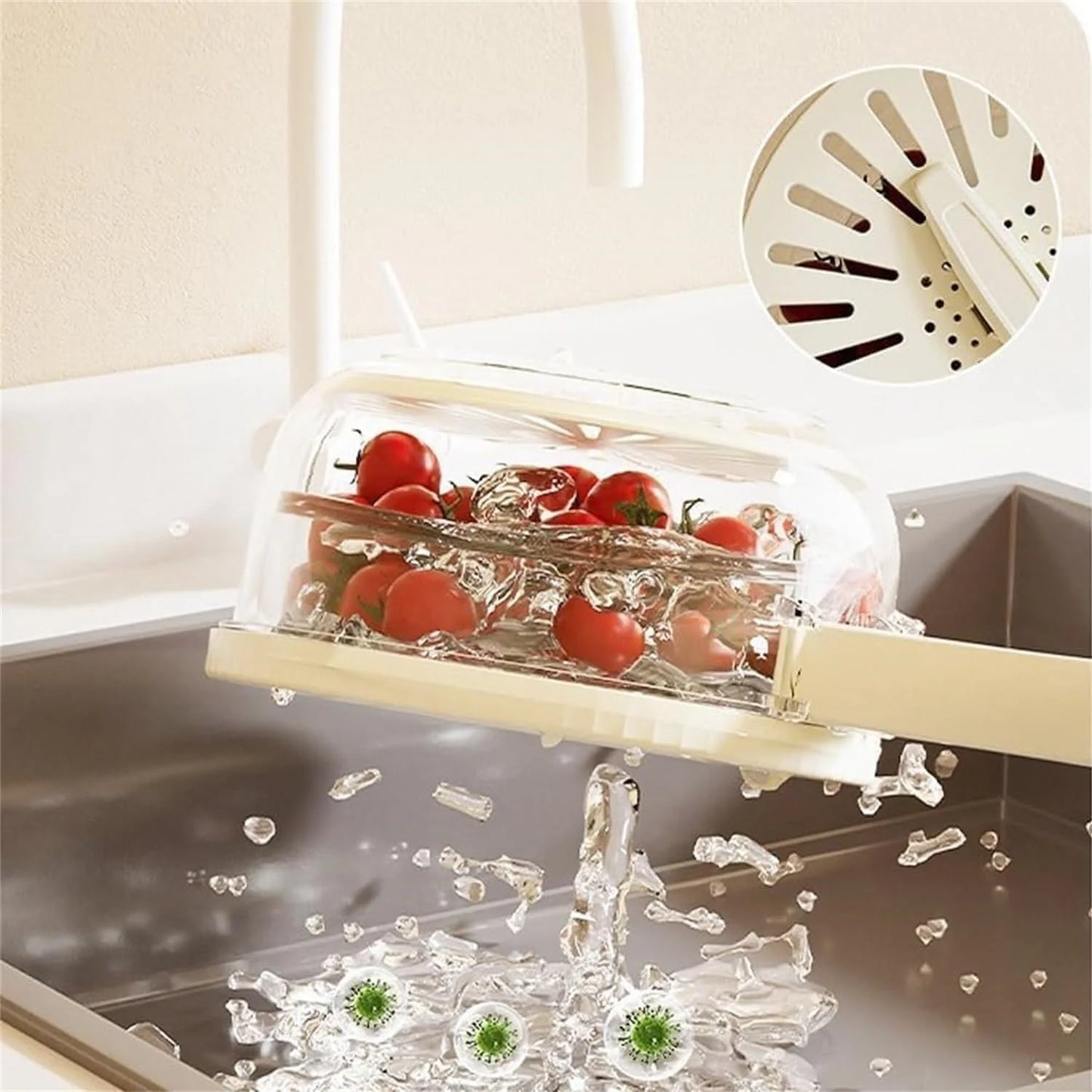 Frischhaltebehälter für Obst & Gemüse – FreshGuard