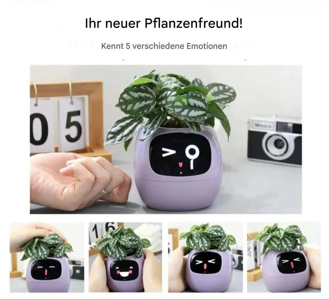 Pflanzenfreund Intelligenter Blumentopf