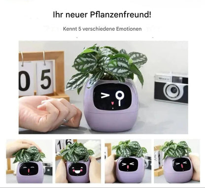 Pflanzenfreund Intelligenter Blumentopf