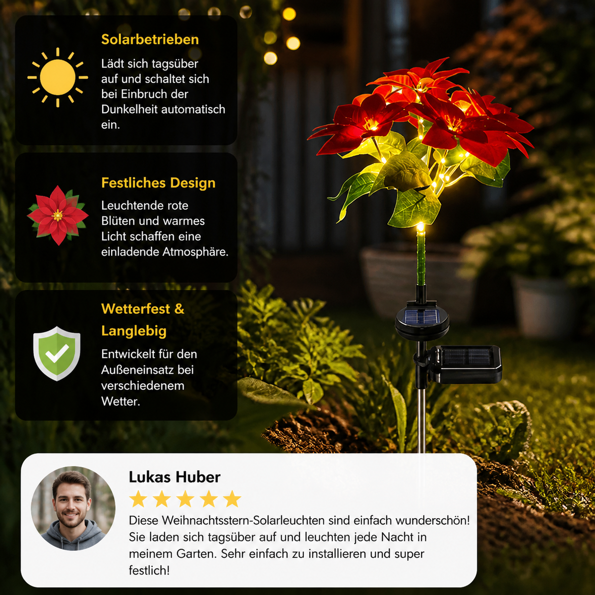 Solar-Weihnachtsstern-Gartenleuchten mit roten Blütenköpfen