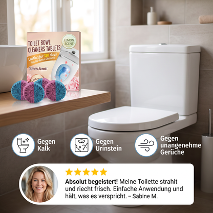 WC-Reinigungsblöcke – Gegen Kalk, Urinstein & unangenehme Gerüche